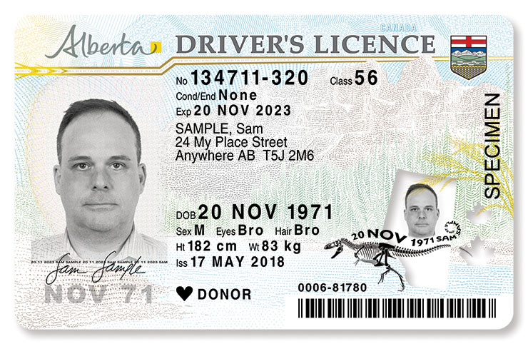 Calgary Drivers License Requirements